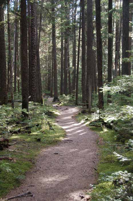 a path along McDonald Creek